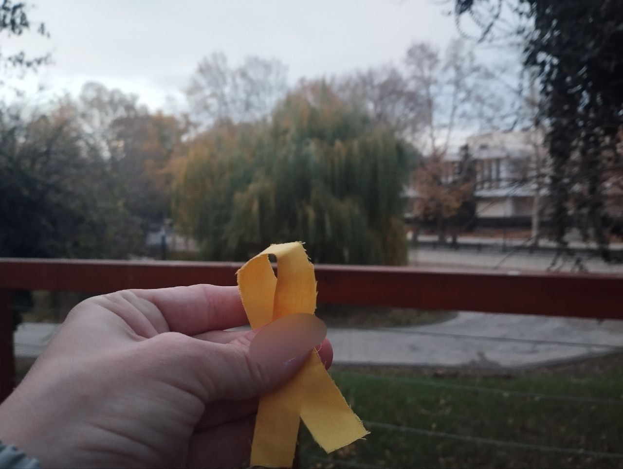 10.12 25 Жовта стрічка.jpg