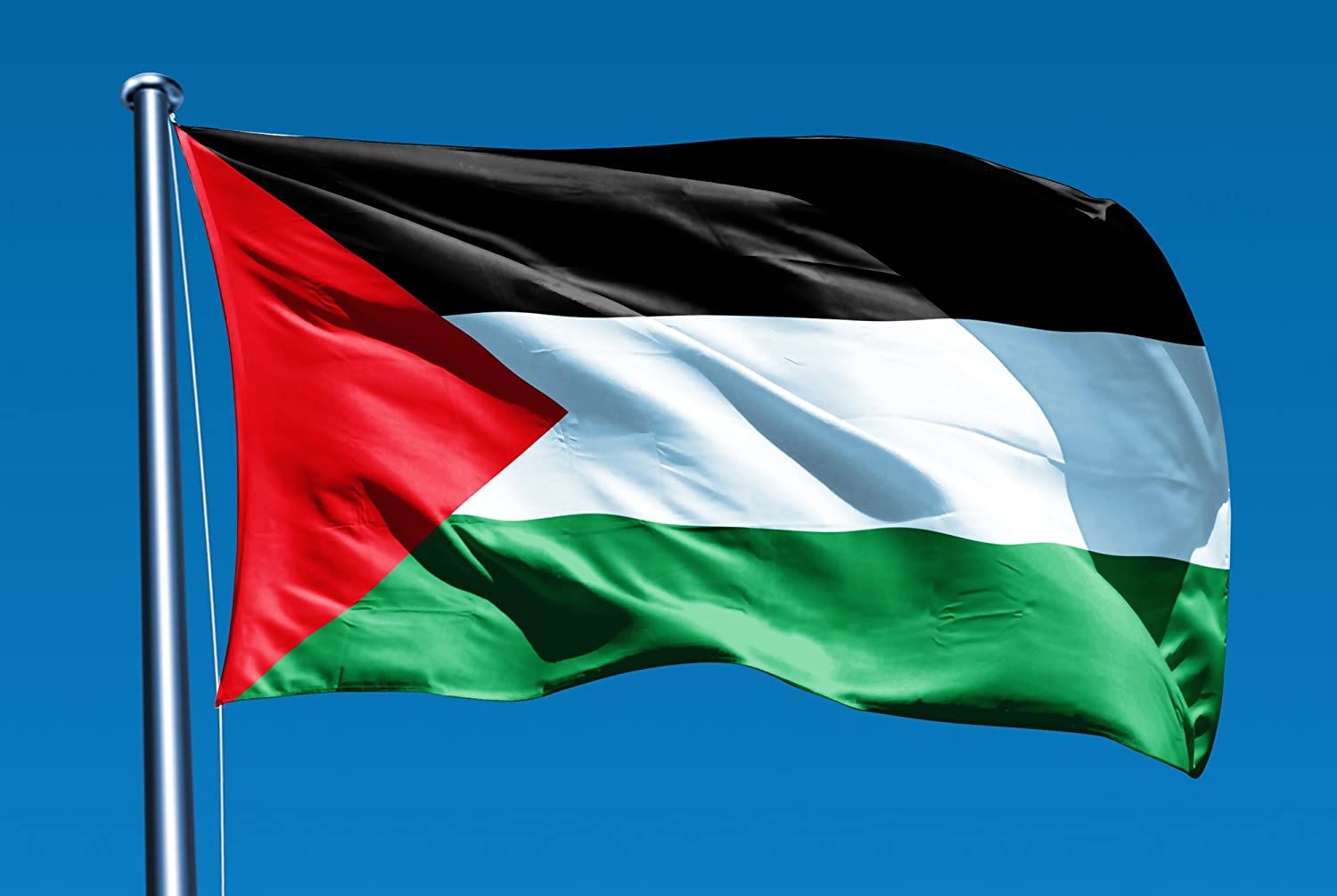 Palestine-Flag-1.jpg